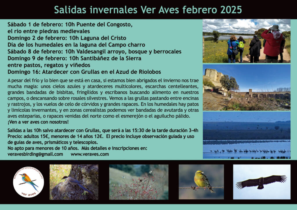 Programa Ver Aves febrero 2025